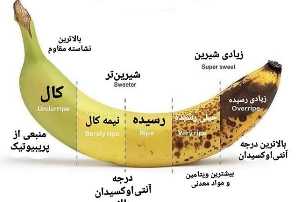 خواص موز