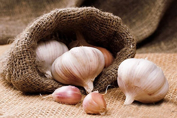 خاصیت سیر برای سلامتی